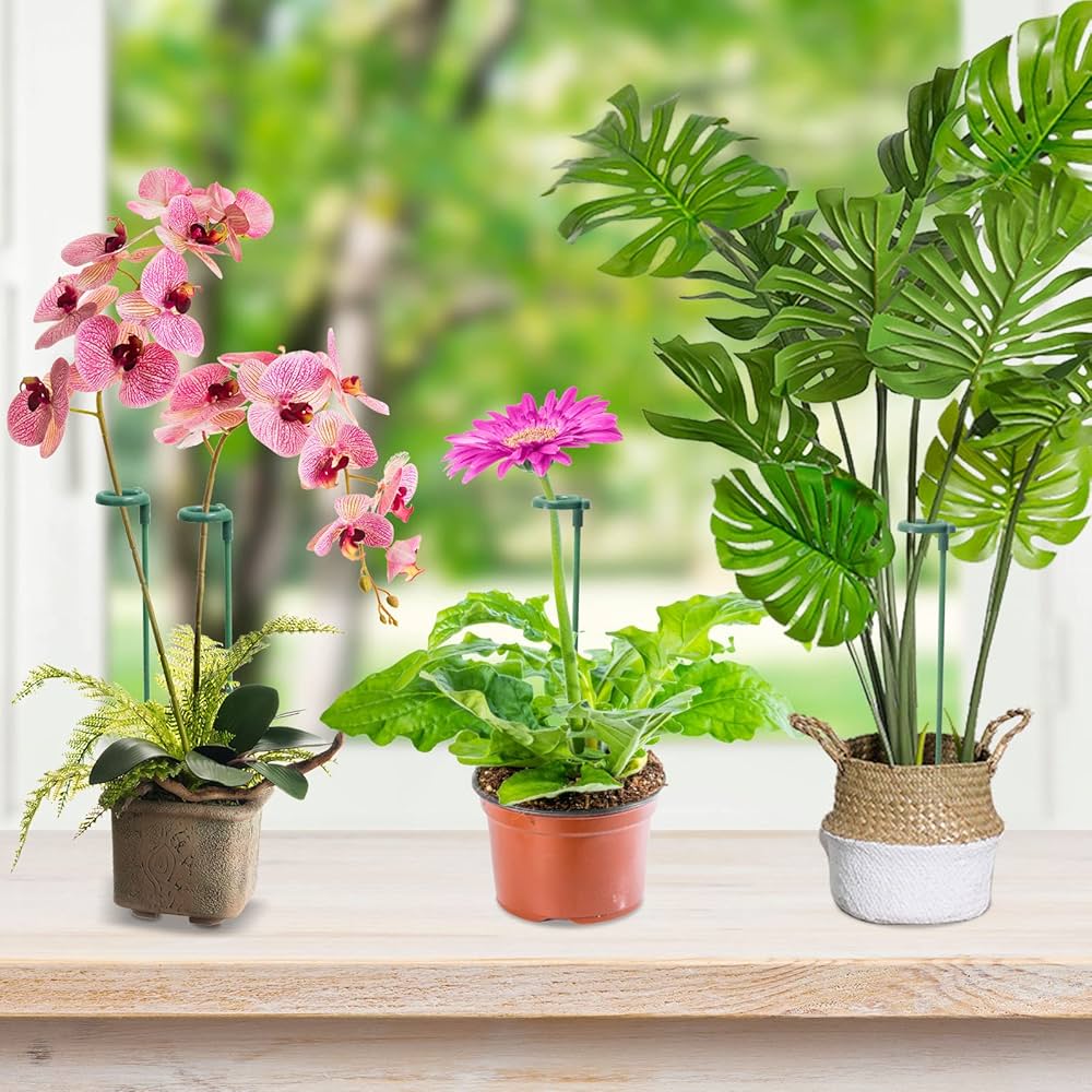 Amazon | YOUSHY園芸支柱20本組セット花ささえ 観葉植物 支柱 花